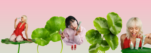 Centella asi&aacute;tica: el pilar de nuestra Korean Skin Therapy