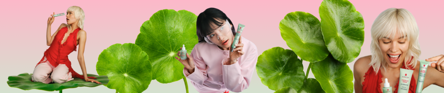 Centella asi&aacute;tica: el pilar de nuestra Korean Skin Therapy