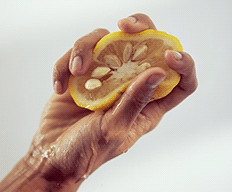 Yuzu