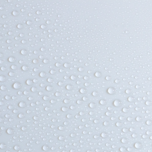 Set & Care Mist (1) | Erborian